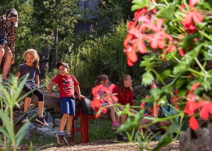 Baumzelte Robis Waldspielpark *
