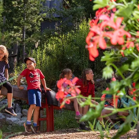 Baumzelte Robis Waldspielpark *