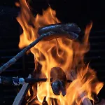 Baumzelte Robis Waldspielpark Camping